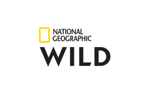 Nat Geo Wild Programm - Die große Übersicht auf TV DIGITAL